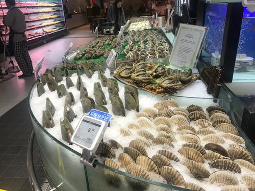 图片13.png 图片13.png